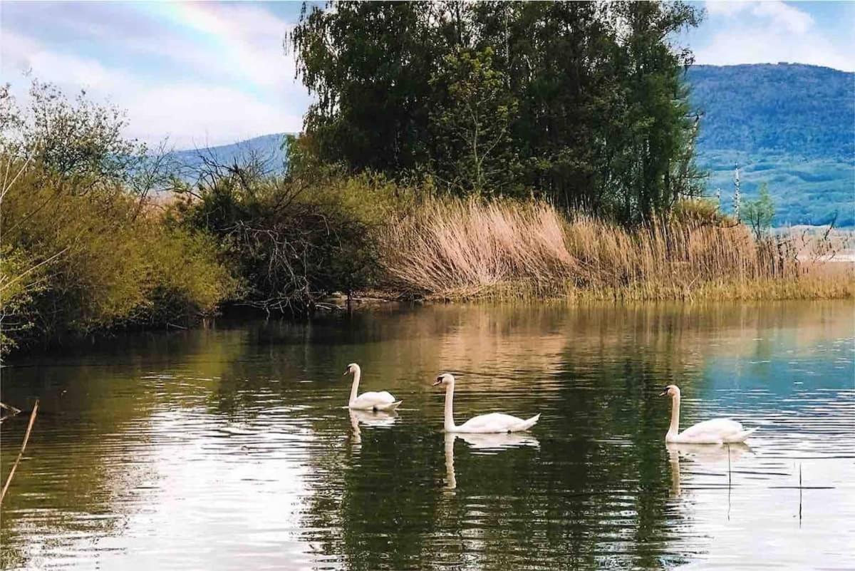 Lakeview Guesthouse With Two Bedrooms & Private Bathroom Chatillon  Buitenkant foto